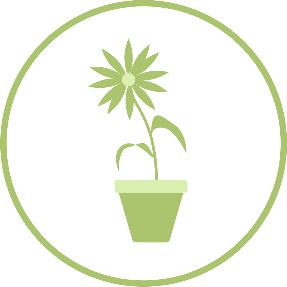 Plant care supplies