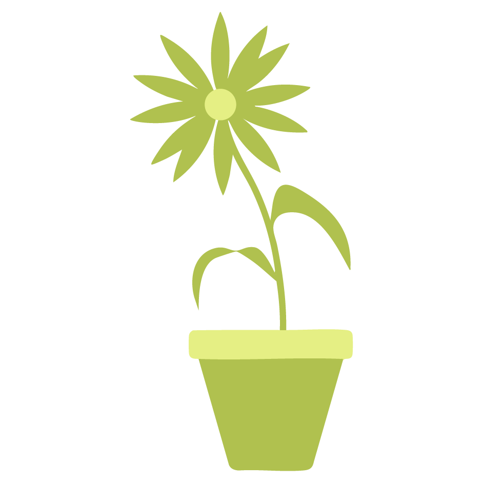 Fresh flowers and floral arrangements