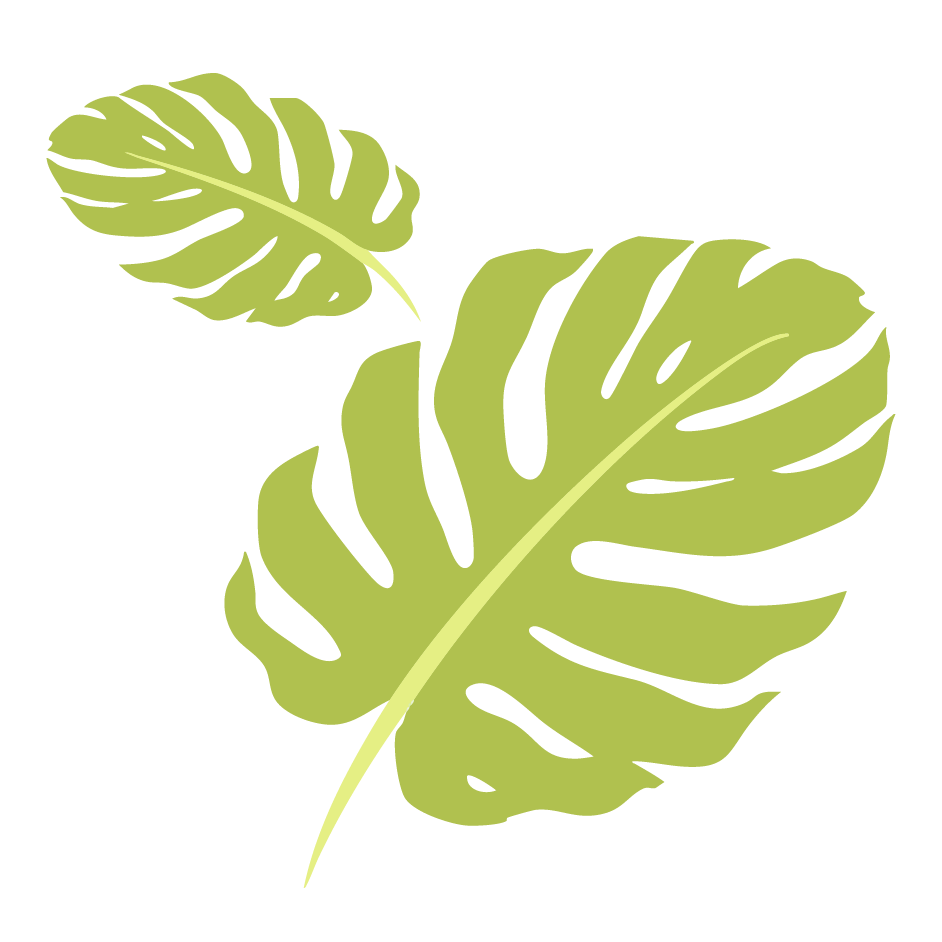 Lush tropical foliage