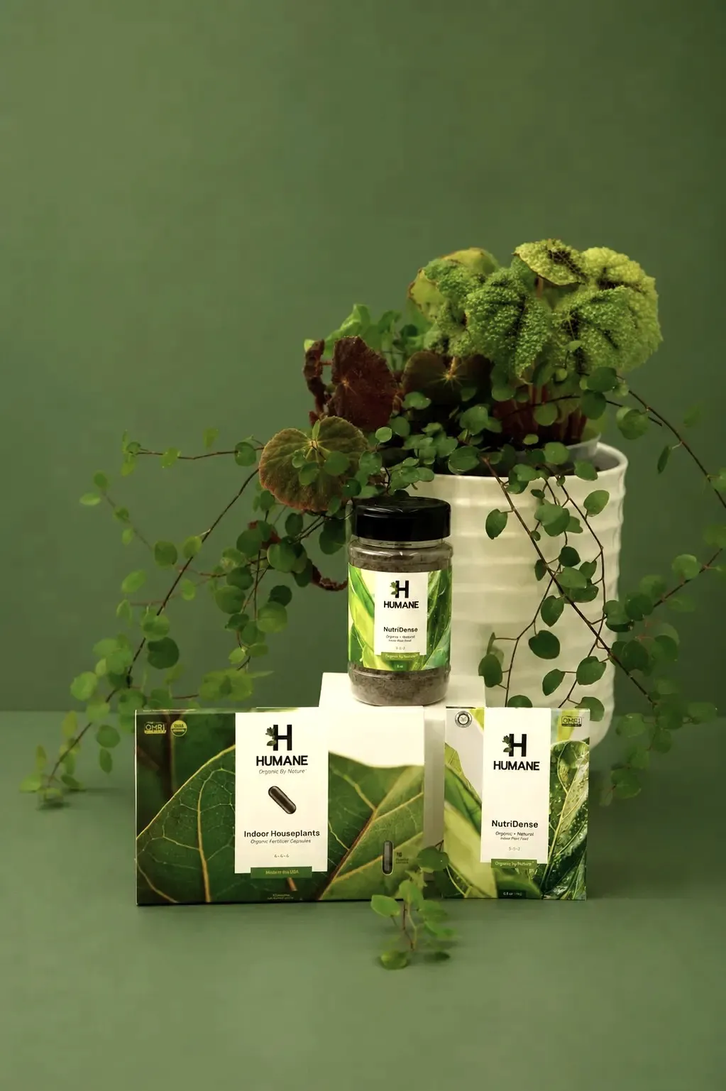 Plant care products arranged together